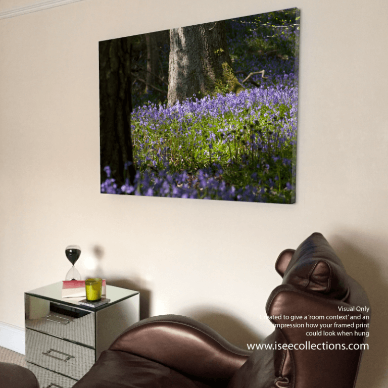 Bluebell Woods Canvas Room