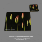 Homewares “Hidden Tulips” 4 Placemats & Coasters 1 Design - Photography by Angela Blackman