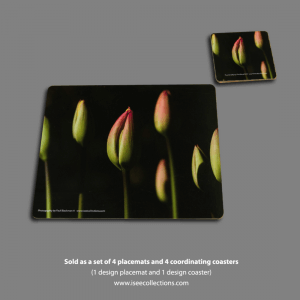 Tulipst Placemats Coasters Shop
