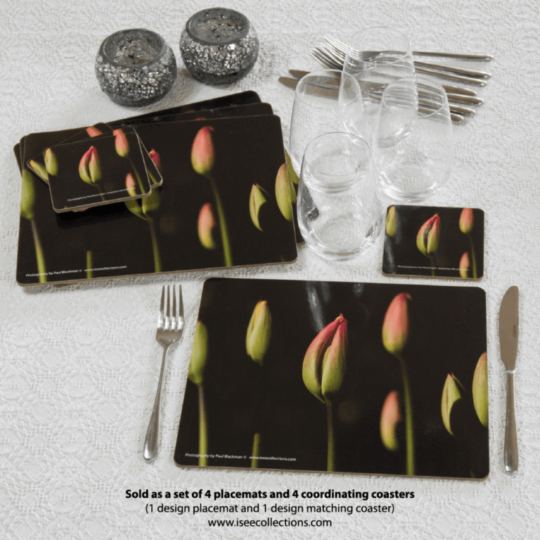 Tulipst 4 Placemats Coasters