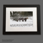 "Winter Horses" Yorkshire A4 artprint, mounted and framed by Angela Blackman