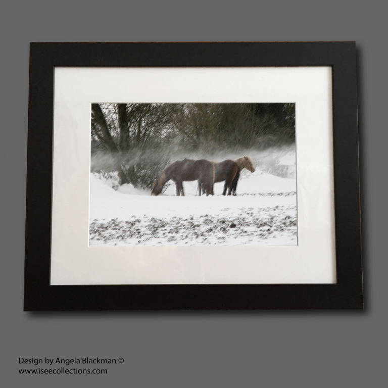 Winter Horses A4 print mounted and framed