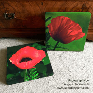 Photographic canvas print