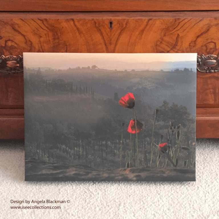 Canvas print poppy vineyard sunrise