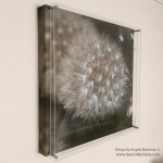 “Make a Wish” Dandelion larger 3D artwork in 3 layers