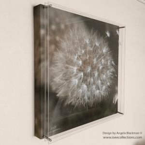 unique artwork 3D dandelion