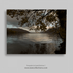 “Ullswater Autumn Oak Tree” The Lake District Large Canvas print – Photography by Angela Blackman ©