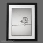 “Winter Tree” Original artwork by Angela Blackman © A3 acrylic painting, white mount in a black wooden frame ready to hang