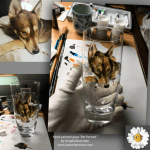 Pet portrait hand painted glass commission