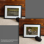 Reflective Mood – Pair of Canal Side Reflections – Framed Photograph by Angela Blackman