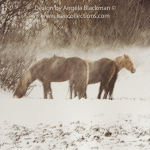 Winter Horses A4 Artprint