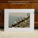 Calderdale Pigeons A4 Mounted Photoprint