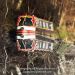 Narrow Boat Reflections Mounted Photographic print